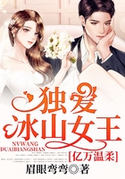 亿万温柔:独爱冰山女王