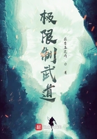 极限制武道