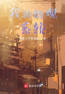 我的微觀系統