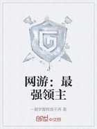 网游:最强领主