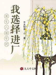 重生八零年代,我選擇進廠