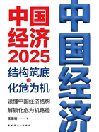 中国经济2025:结构筑底与化危为机在线阅读