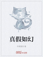 真假如幻在线阅读