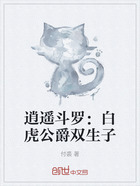 逍遙斗羅：白虎公爵雙生子在線閱讀