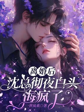 离婚后，沈总彻夜白头悔疯了在线阅读