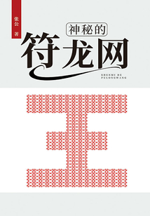 神秘的符龙网