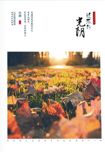 散落的光陰