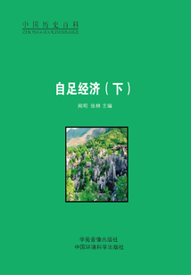自足经济（下）