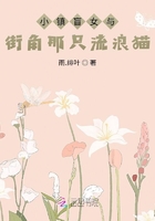 小镇盲女与街角那只流浪猫在线阅读