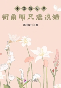 小镇盲女与街角那只流浪猫