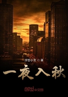 一夜入秋在线阅读