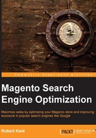 Magento Search Engine Optimization在线阅读