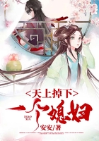天上掉下一个媳妇在线阅读