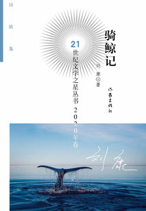 騎鯨記(21世紀(jì)文學(xué)之星叢書(shū)·2020年卷)