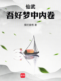 仙武,吾好梦中内卷 cover