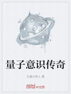 量子意识传奇在线阅读