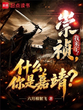 崇祯,我来了!什么,你是嘉靖?在线阅读