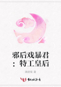 邪后戲暴君：特工皇后