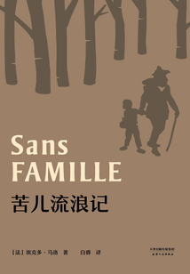 苦兒流浪記
