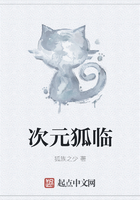 次元狐臨在線閱讀