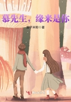 慕先生，緣來是你在線閱讀