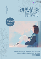 初見情深你似海在線閱讀
