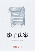 影子法案在線閱讀
