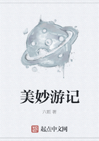 美妙游记在线阅读