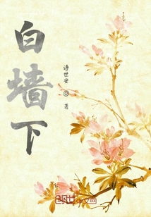 白墻下