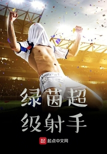 绿茵超级射手