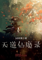 天道仙魔录在线阅读
