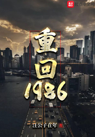 重回1986在线阅读