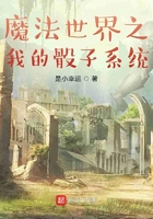 魔法世界之我的骰子系统在线阅读