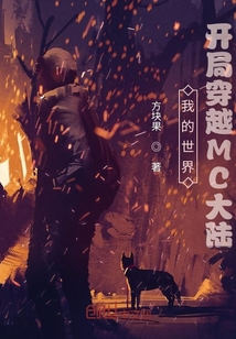 我的世界：開局穿越MC大陸