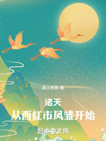諸天從西紅市鳳雛開始