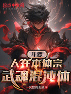 斗罗:人在本体宗,武魂混沌体