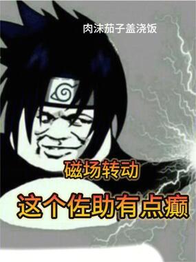 磁场转动:这个佐助有点癫在线阅读