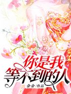 你是我等不到的人在線閱讀