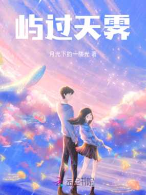 屿过天霁在线阅读