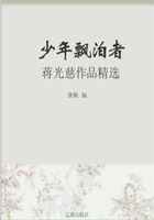 少年飘泊者：蒋光慈作品精选（中国文学大师经典必读）在线阅读