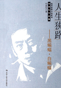人生狭路:黑蝙蝠·白蝙蝠(何家弘作品集·犯罪悬疑小说系列)
