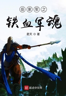 岳家軍之鐵血軍魂