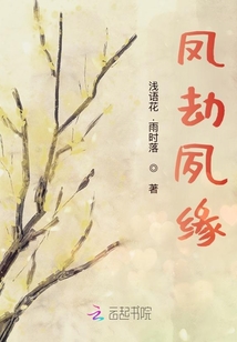 鳳劫夙緣