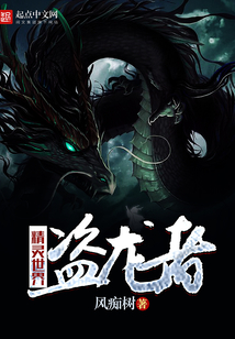 精靈世界——盜龍者