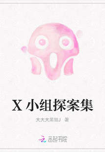 X小组探案集