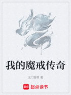 我的魔戒传奇在线阅读