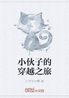 小伙子的穿越之旅在線閱讀