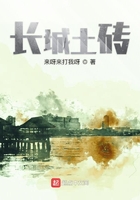 长城土砖在线阅读