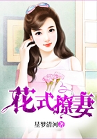 花式撩妻在线阅读