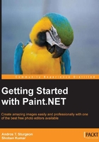 Getting Started with Paint.NET在线阅读